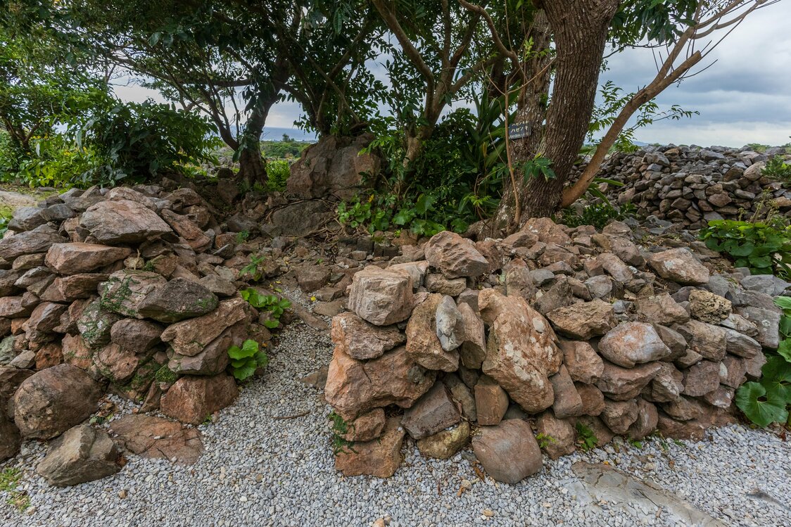 Tenchiji Amachiji Utaki is an utaki surrounded by a low stone wall, revered as the home of the guardian deity of Nakijin Castle. (© Nippon.com)