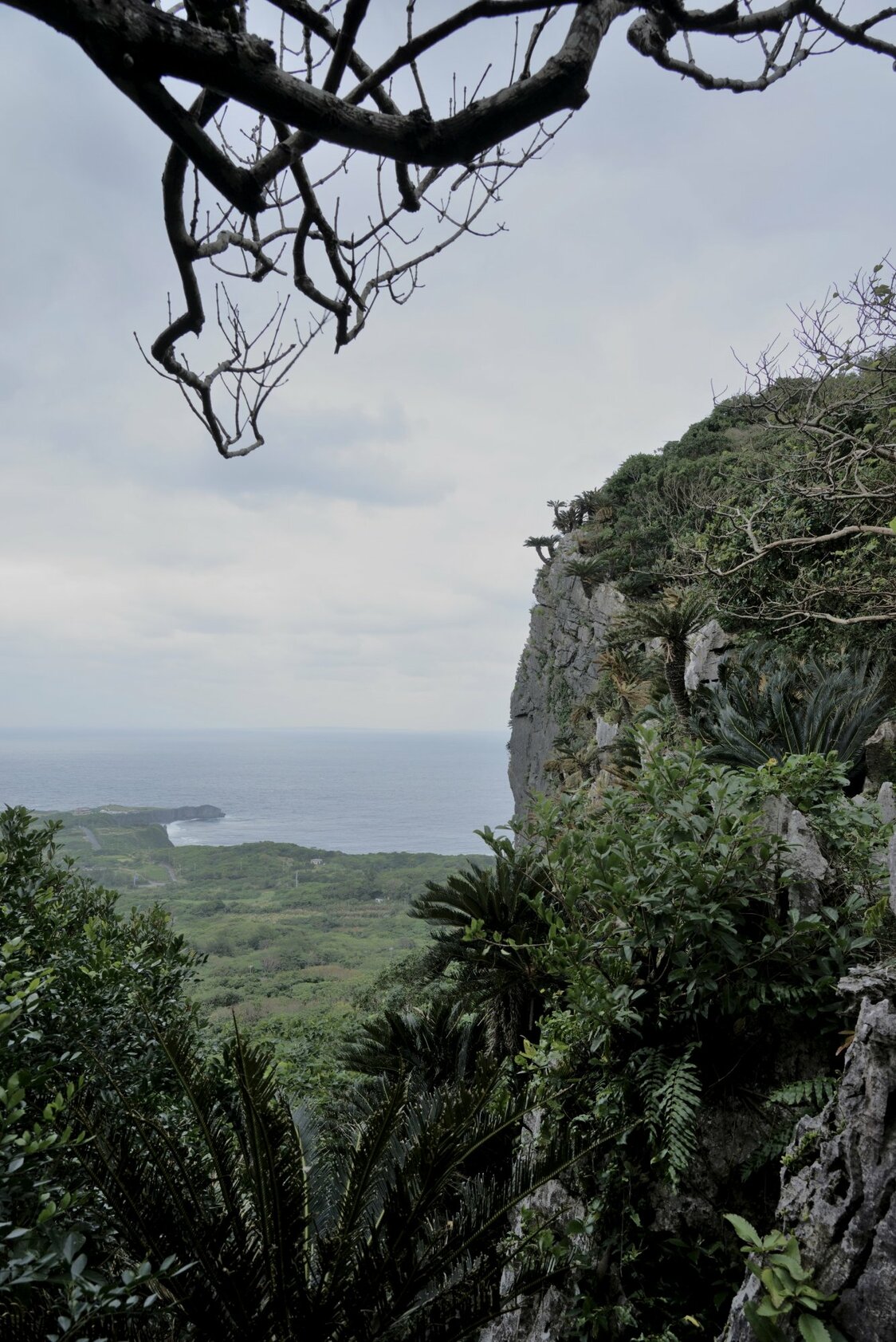 Beyond the lush green forest is Cape Hedo, the northernmost point on the main island of Okinawa. (© Ōsaka Hiroshi)