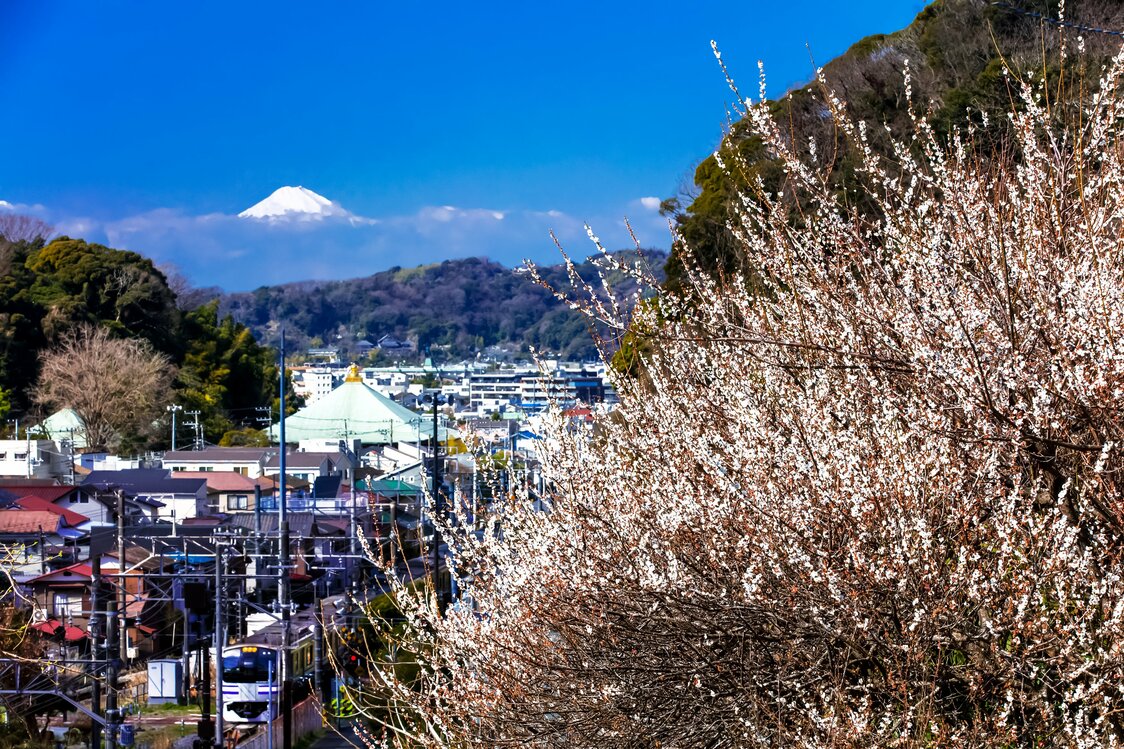 从名越切通远眺