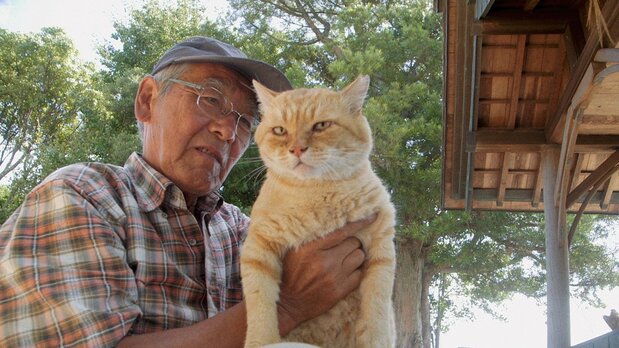 A cat enjoys a moment of post-feeding bliss. (© 2024 Laboratory X, Inc)