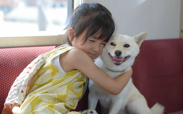 新津ちせ演じるサヤカとその愛犬ルー ©2019映画「駅までの道をおしえて」production committee