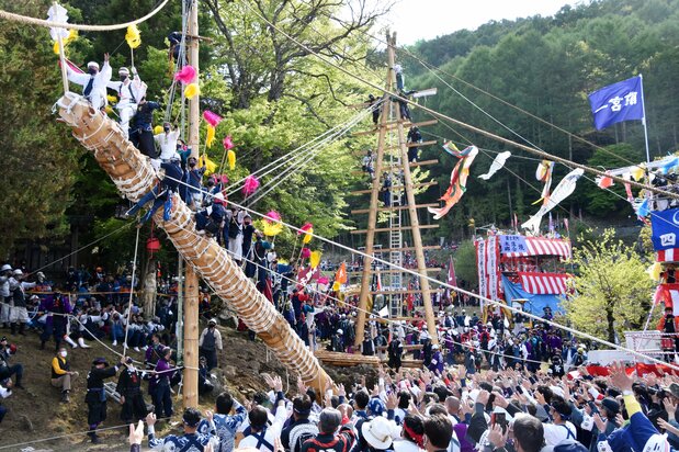 御柱祭「建て御柱」で、氏子を乗せて引き上げられる巨木＝2022年5月、長野県茅野市（時事）