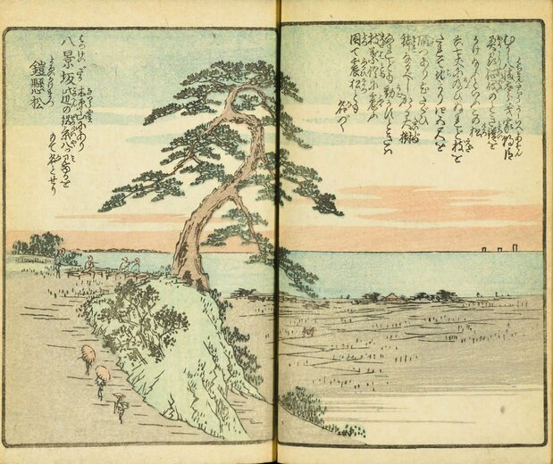広重が『絵本江戸土産』で描いた鎧掛松と八景坂からの風景。鎧掛松は「震松(ふるいまつ)」とも呼ばれていたと記してある 国会図書館所蔵