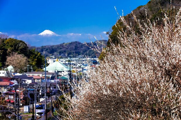 Stunning view from Nagoe Pass. (© Harada Hiroshi)