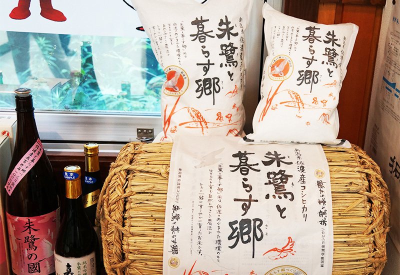 人気の高い佐渡産コシヒカリ「朱鷺と暮らす郷」