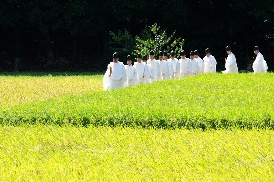 9月5日　在“斋田（栽培祭神用谷物的农田——译注）”拔稻穗的祭祀仪式“拔穗祭”