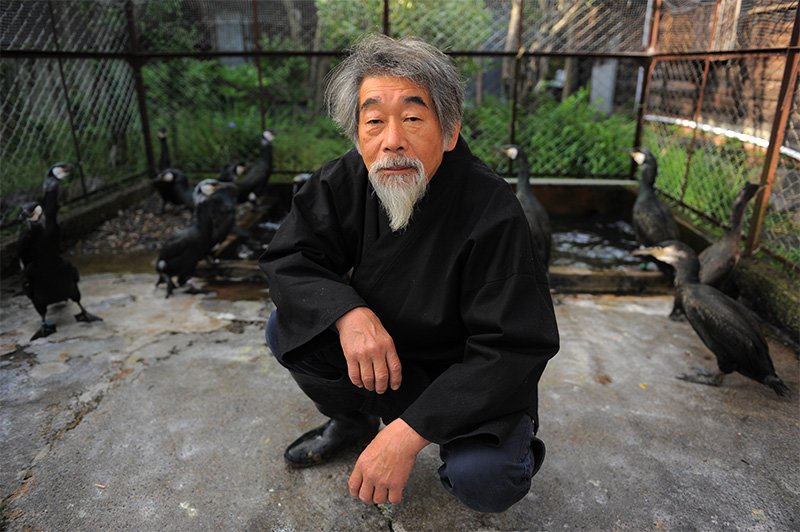 Cormorant fisherman Yamashita Tetsuji tends to his birds 365 days a year.