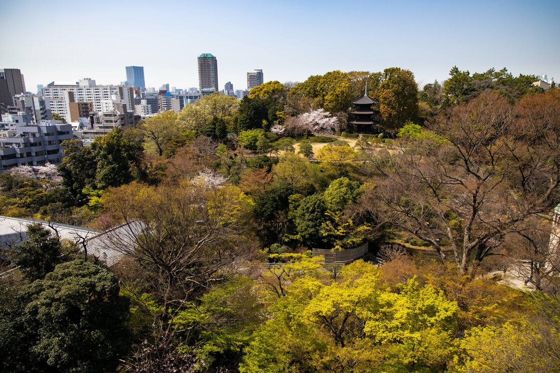 Vue depuis le Serenity Garden. Situé sur le toit de l’hôtel, il donne sur une véritable oasis en plein Tokyo.