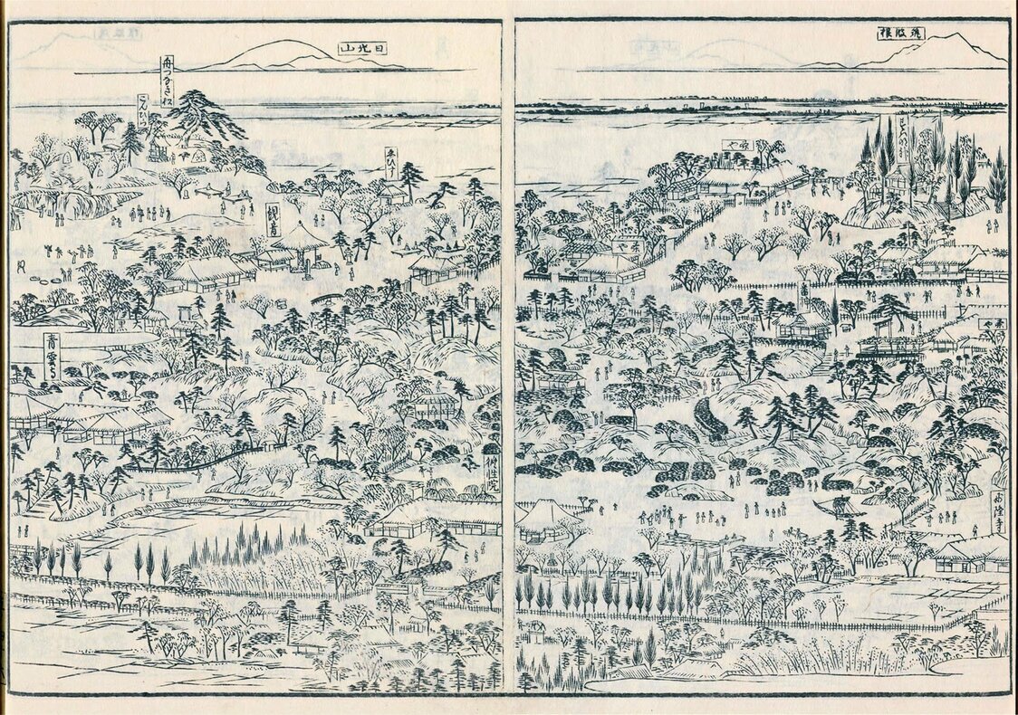 『江戸名所図会』4巻「日暮里惣図」（1836年刊、国会図書館蔵）は、7ページにわたる大パノラマ。5〜6ページでは修性院を中心に、左に青雲寺、右に妙隆寺の庭の一部を描いた