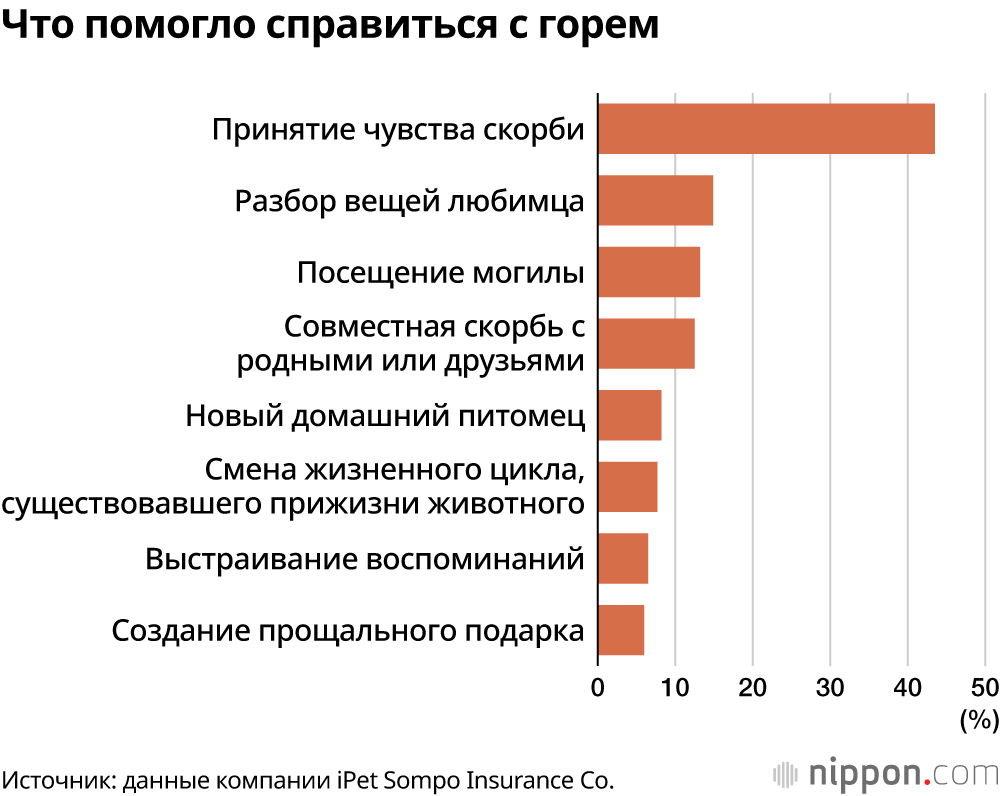 Что помогло справиться с горем