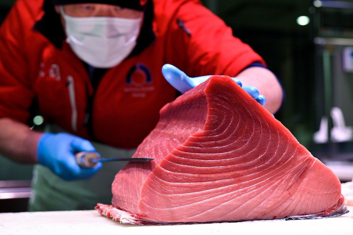 最も希少な腹カミ。「サシ」と呼ばれる白い筋の脂肪が入り、見ているだけで食欲をそそられる