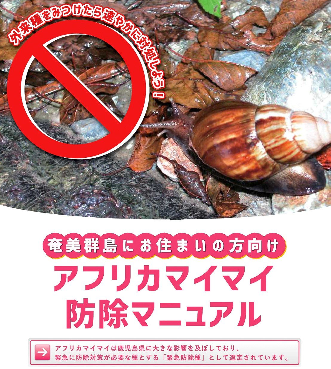 鹿児島県作成の駆除マニュアルの一部（鹿児島県HPより）