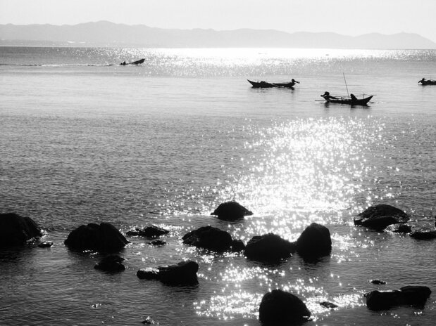 Catching sea urchins (2004).