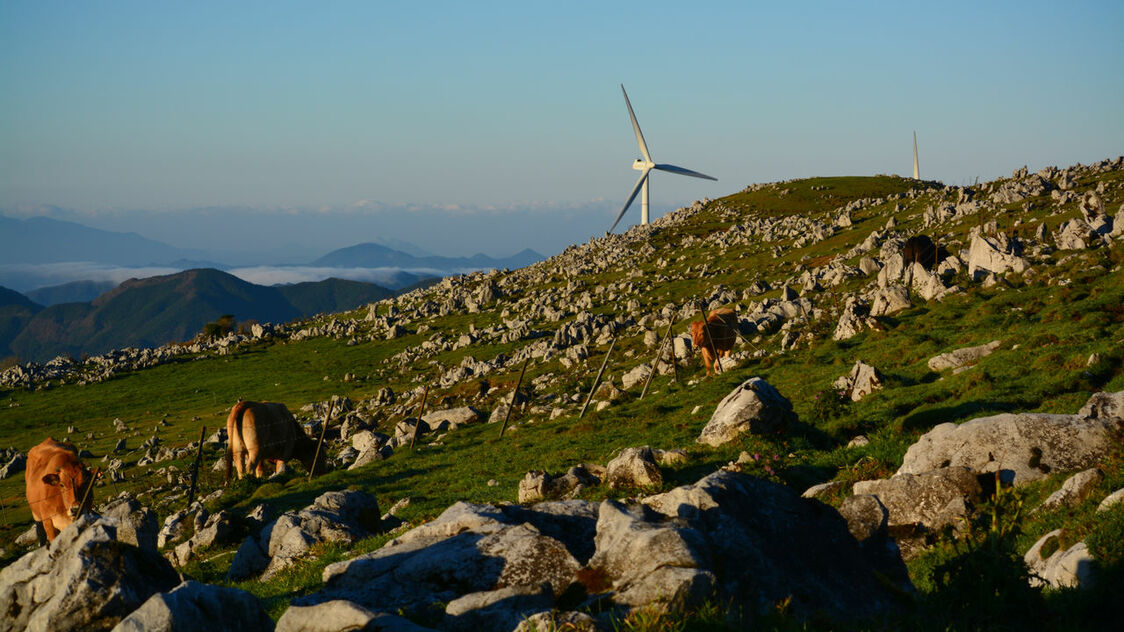 Les spots naturels incontournables de la région de Kôchi [1]