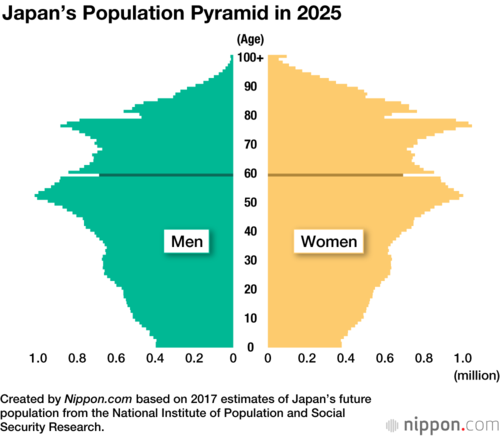 Japan’s Population Pyramid in 2025