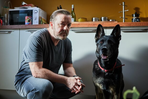 トニーと愛犬・ブランディ Netflix「After Life/アフター・ライフ」