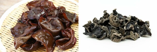 生キクラゲ(左)、乾燥キクラゲ