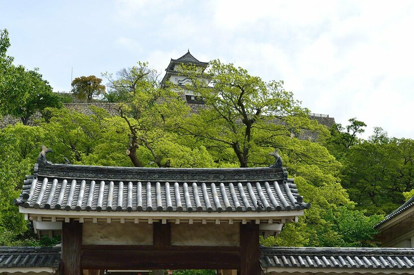 丸龜城