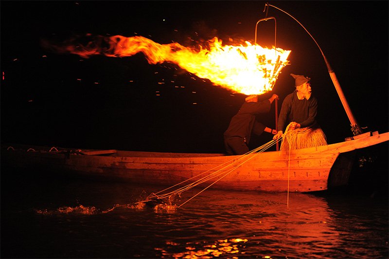 Cormorant fishing requires close teamwork between man and bird.