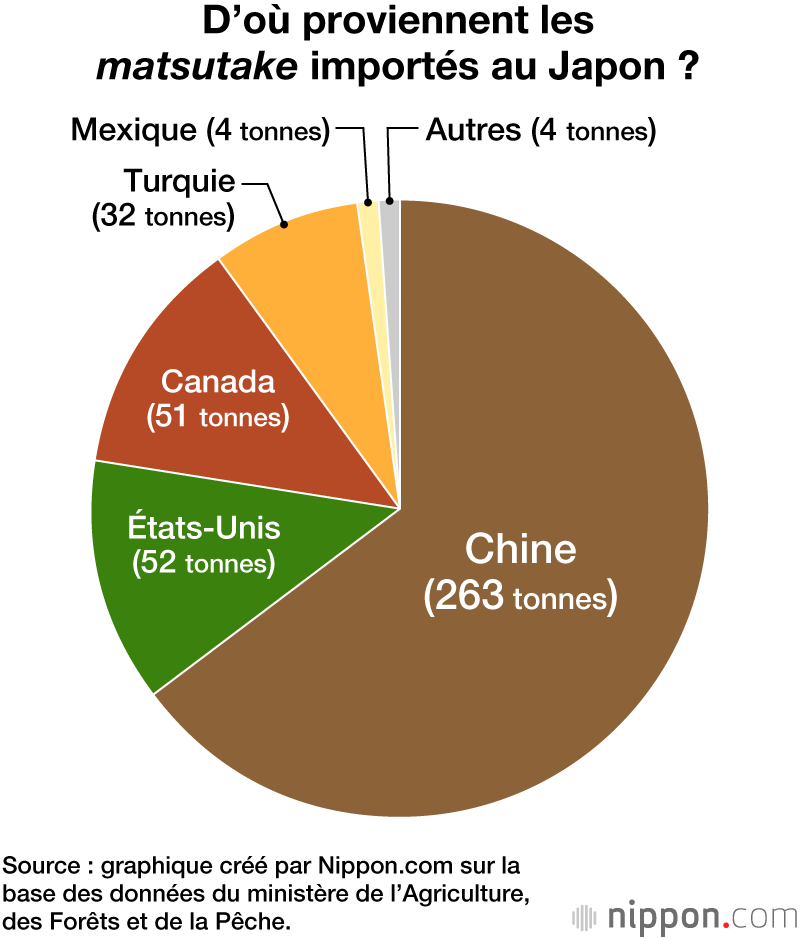 D’où proviennent les matsutake importés au Japon ?