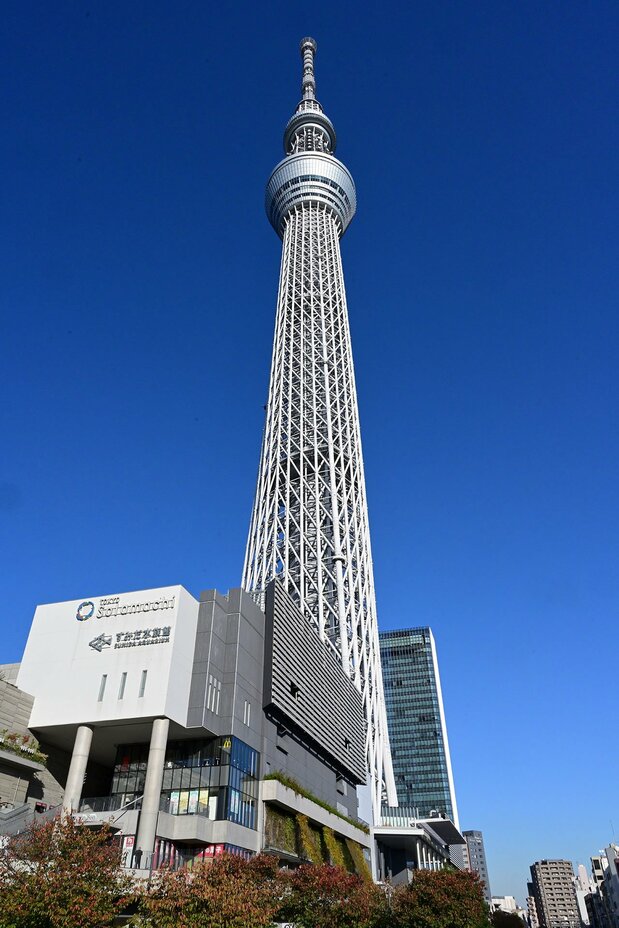作品の撮影場所から見上げた東京スカイツリー。隅田川の西から見る姿とは別物の迫力ある姿だ