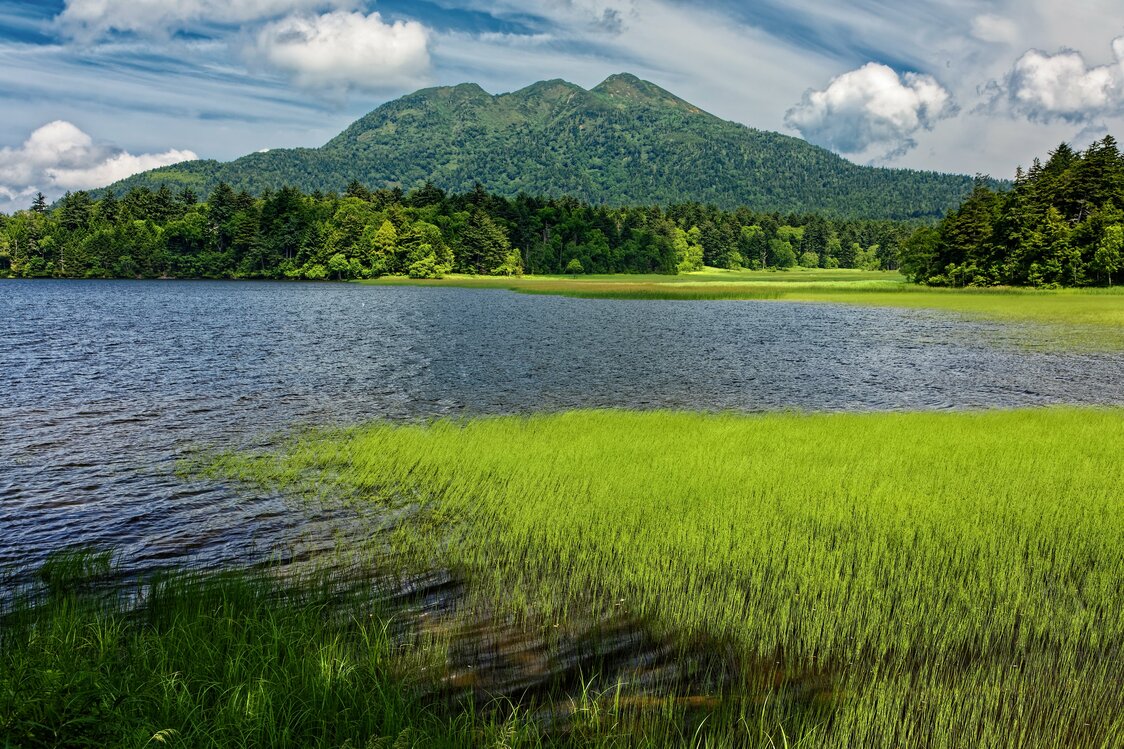 尾瀬沼越しに望む夏の燧ヶ岳　写真：PIXTA