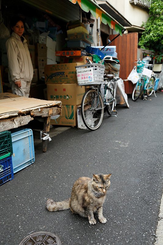 キラキラ橘商店街