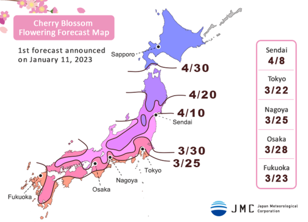 Cherry Blossom Flowering Forecast Map