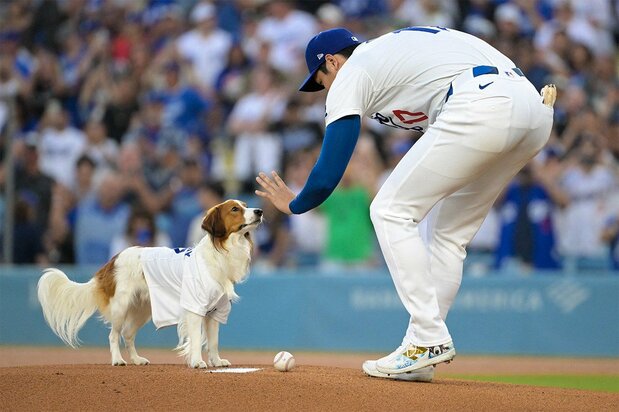 デコピン始球式(USA TODAY Sports via Reuters Connect)