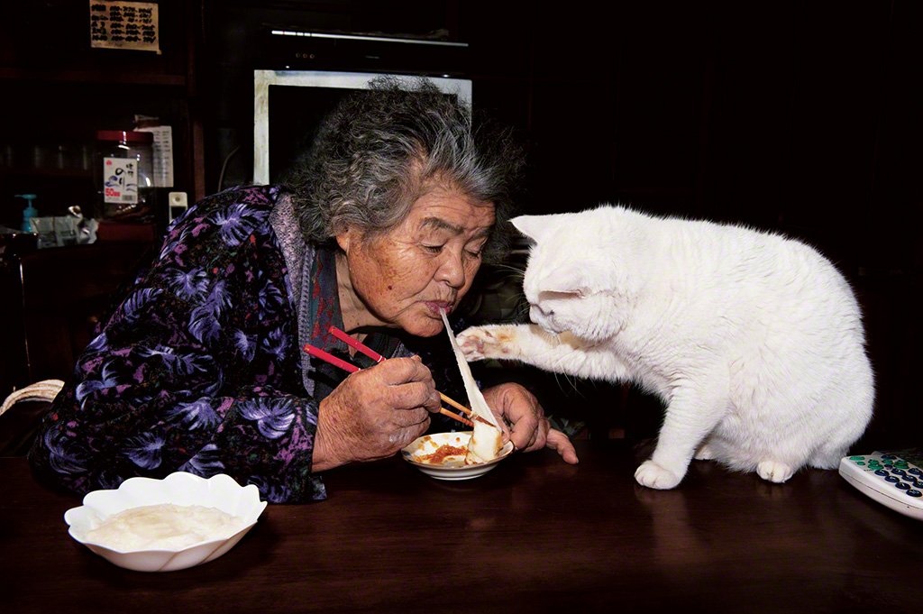 [Фото] Бабушка и кот: радость каждого дня