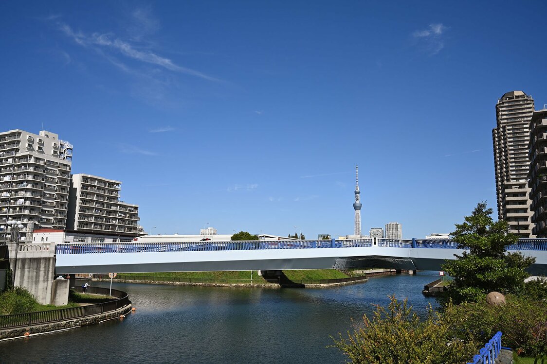 川の辻に架かる「小名木川クローバー橋」を北砂水上公園の遊歩道から望む。夜には、ライトアップされたスカイツリーが美しく浮かび上がる