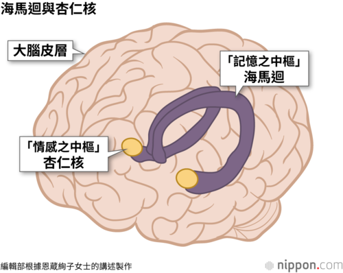 海馬迴與杏仁核