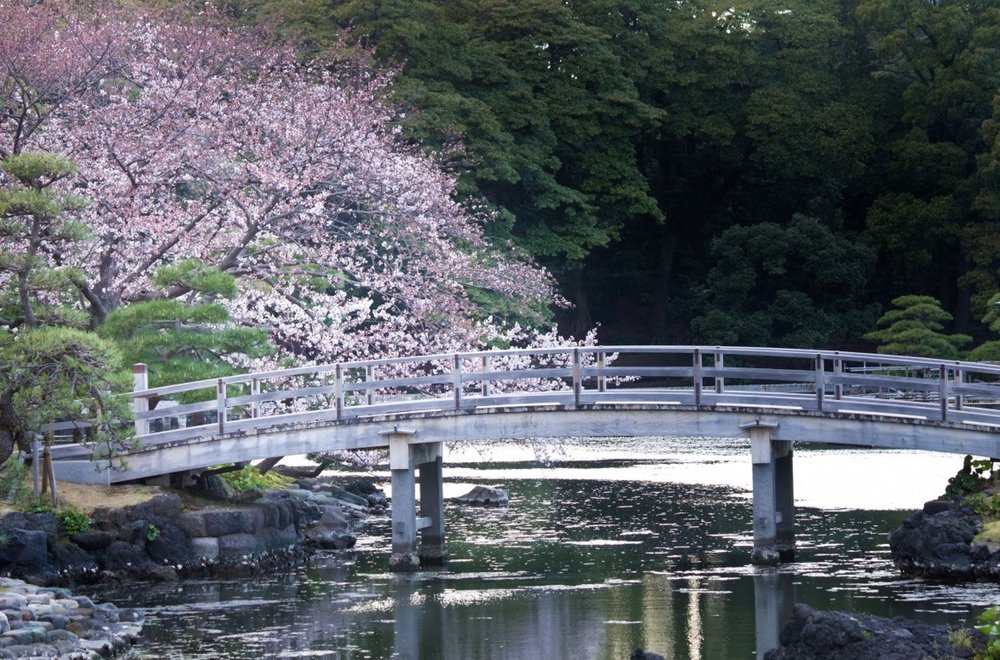 A garden centered on a large pond.