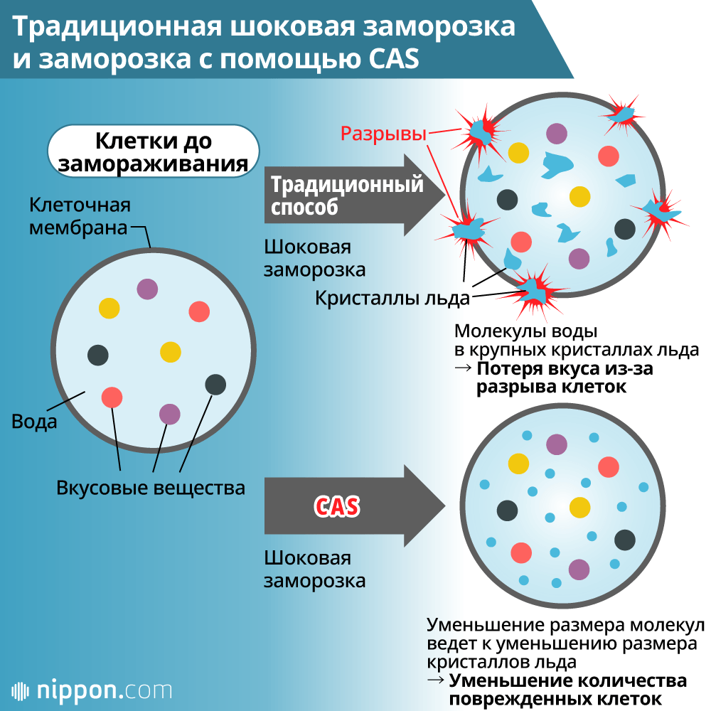 Заморозка сохранит вкус продуктов... и жизнь на Земле? Взгляд на технологию CAS, созданную в компании Abi