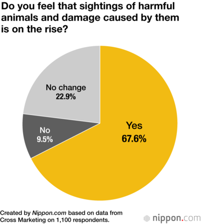 Do you feel that sightings of harmful animals and damage caused by them is on the rise?