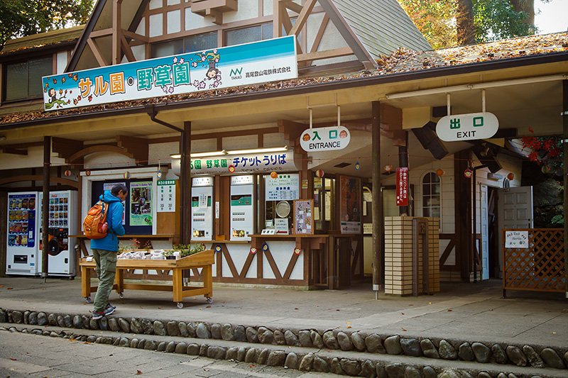 深受外国游客喜爱的“高尾山猴园 野草园”，招牌等都标示有英语。现在，园内饲养了67只富有“明星气质”的日本猴，饲养员的解说也风趣幽默，广受好评