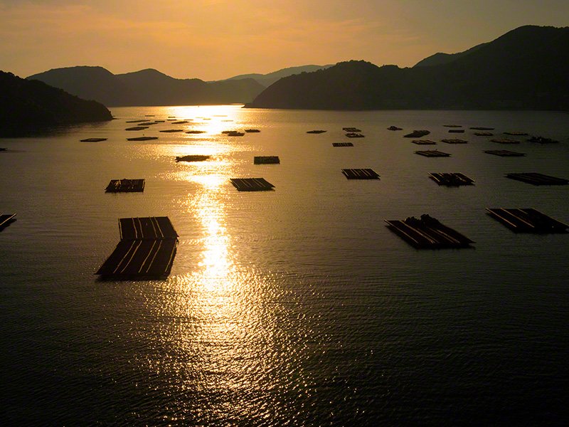 瀬戸内海に沈む夕日が、一日の終わりを美しく染め上げる（鹿久居島、かくいじま）