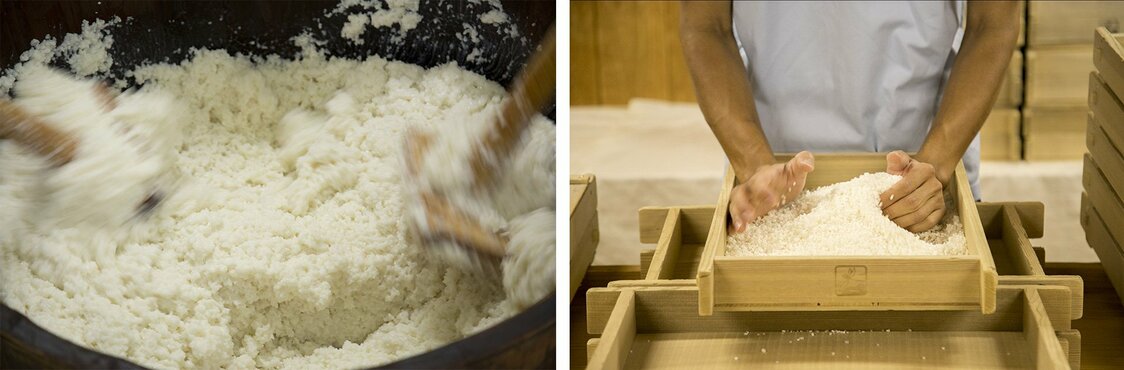 Left: Moto-suri involves manually mixing kōji (steamed rice on which a special mold has been cultured) with rice and water to make the yeast starter (moto or shubo). Nowadays most breweries dispense with this labor-intensive process. Right: An Izumibashi brewery worker stirs the kōji rice to adjust the dampness and temperature, a step referred to as nakashigoto. Hashiba has hired a staff of full-time employees (average age 35) for his vertically integrated operation instead of engaging seasonal workers to brew sake each winter, as is customary.