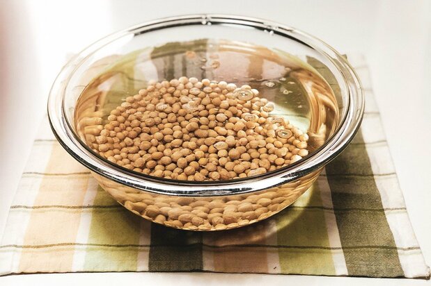 They soybeans need plenty of water to soak in. A three-to-one ratio is a good rule of thumb.