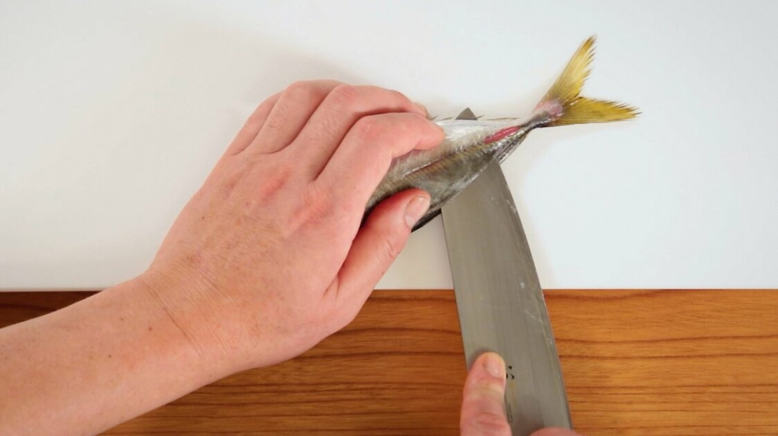 Japanese Seafood Culture: How to Fillet a Horse Mackerel