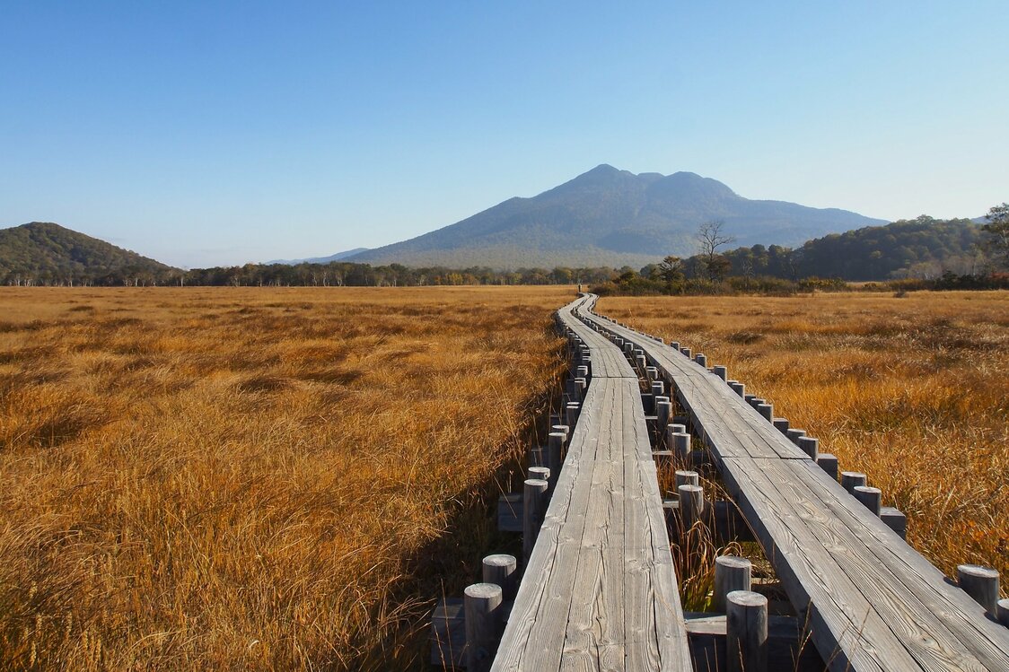 尾瀬の草紅葉と至仏山　写真：ググっとぐんま