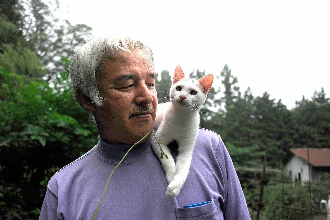 As a kitten, Shiro had a mark on her forehead like the kanji for eight (八), but it faded when she grew up.