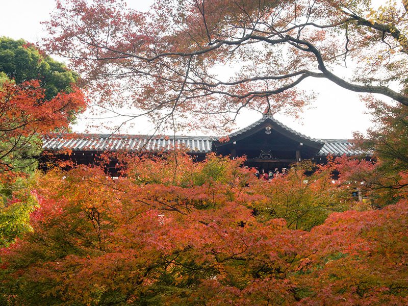 Vista de Tsūtenkyō desde Sengyokukan. Los colores del otoño “tiñen” el puente.