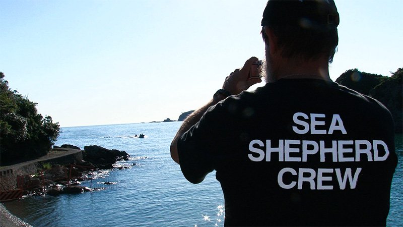 Scott West, uno de los sea shepherds que en 2010 se establecieron en Taiji. Su grupo fue el protagonista de la campaña contra la caza de delfines. © Project team de Okujirasama.