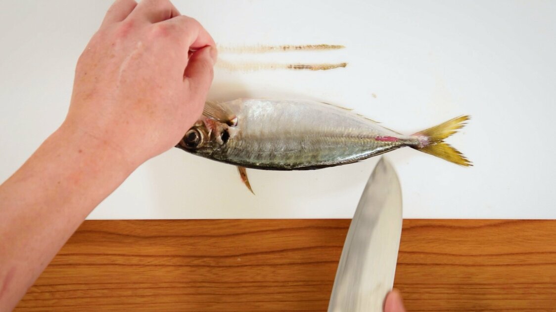 Japanese Seafood Culture: How to Fillet a Horse Mackerel