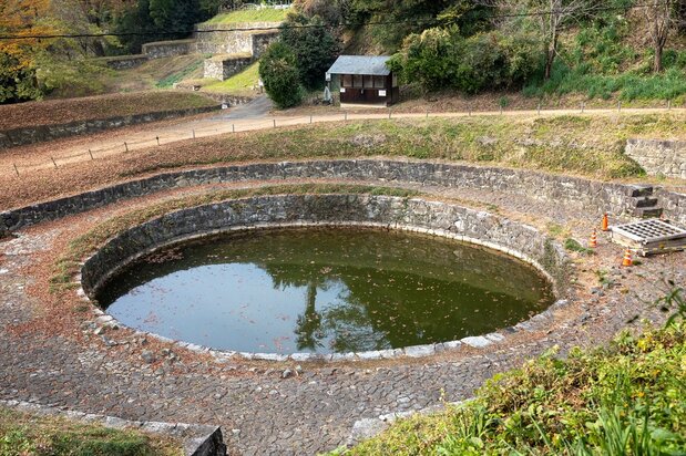 金山城の日ノ池（PIXTA）