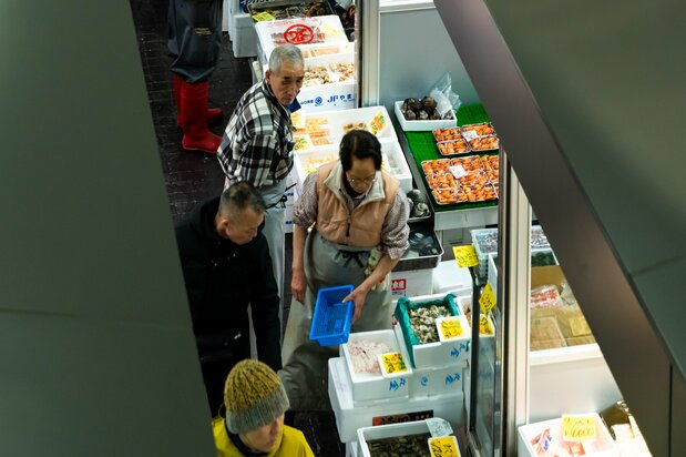 見学ギャリーからは、仲卸売場の様子が少しだけ見下ろせる