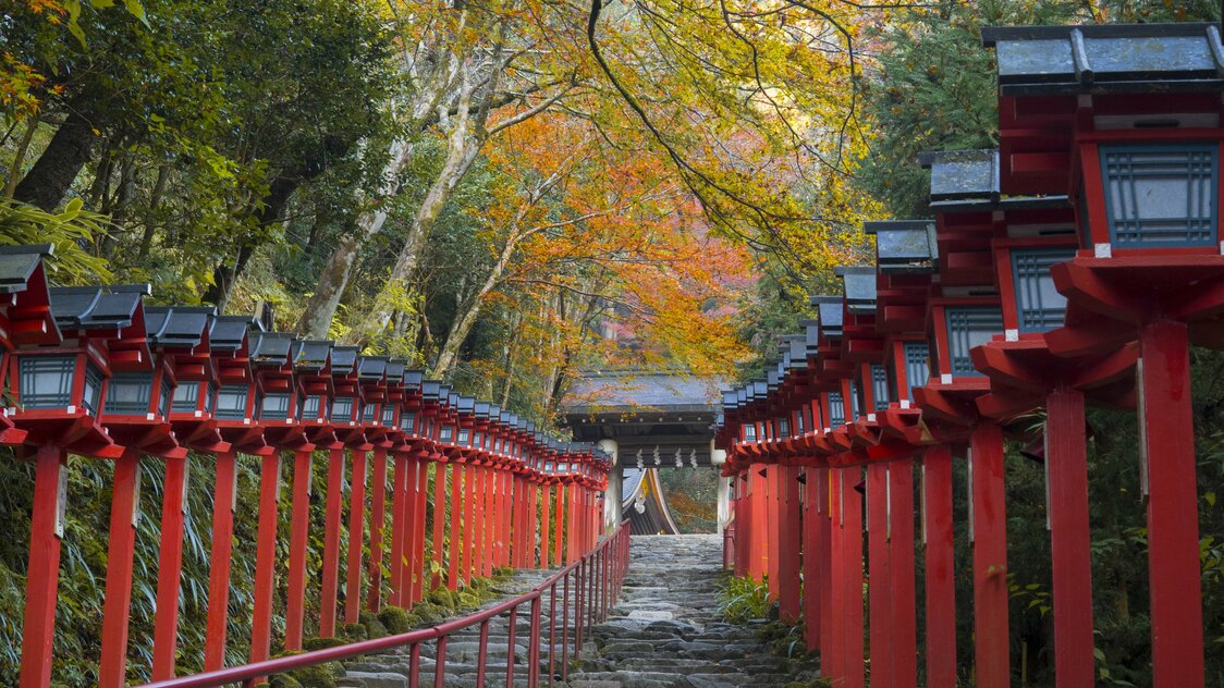 The approach to the main shrine is lined with Kasuga lanterns and charmingly colored trees in the fall.