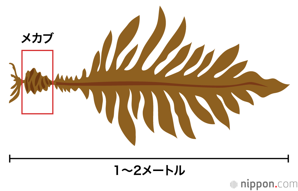 メカブ