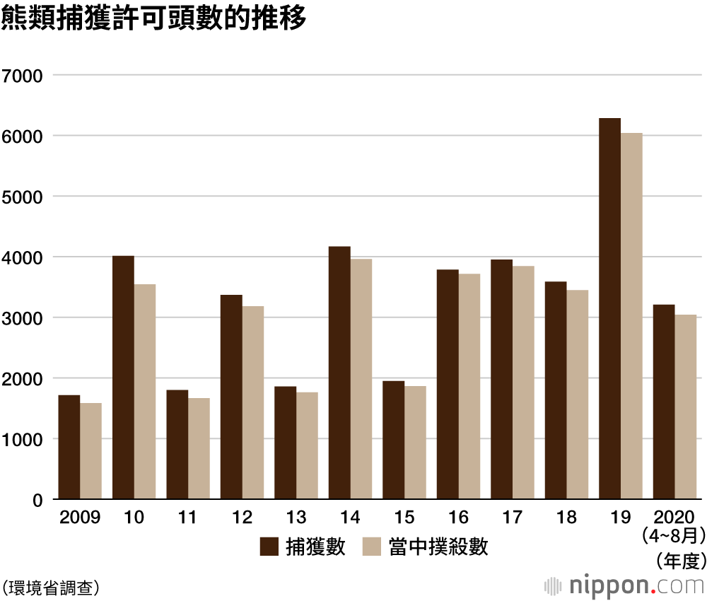 熊出沒注意！ 日本2019年捕捉數量超過6000頭